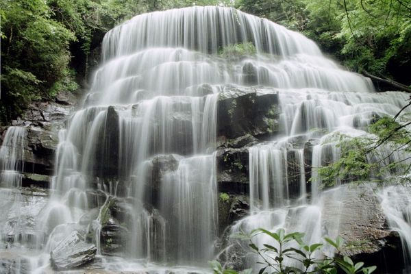 Falls on Yellow Branch - South Carolina (6-11-05